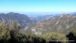 nte Scuderi-23-11-2014 09-47-18